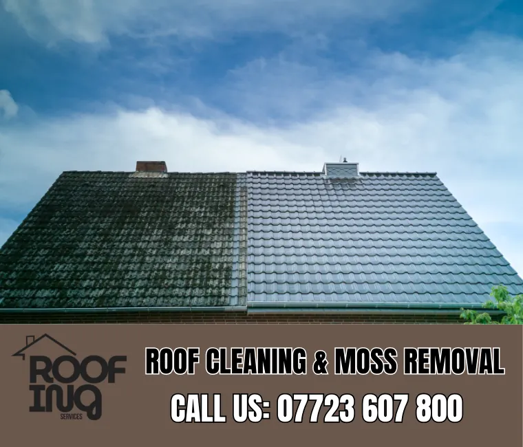 Roof cleaning and moss removal in Sidmouth